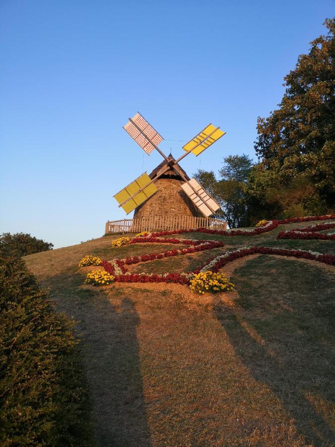 Symphony Du Vivant Lautrec Экстерьер фото